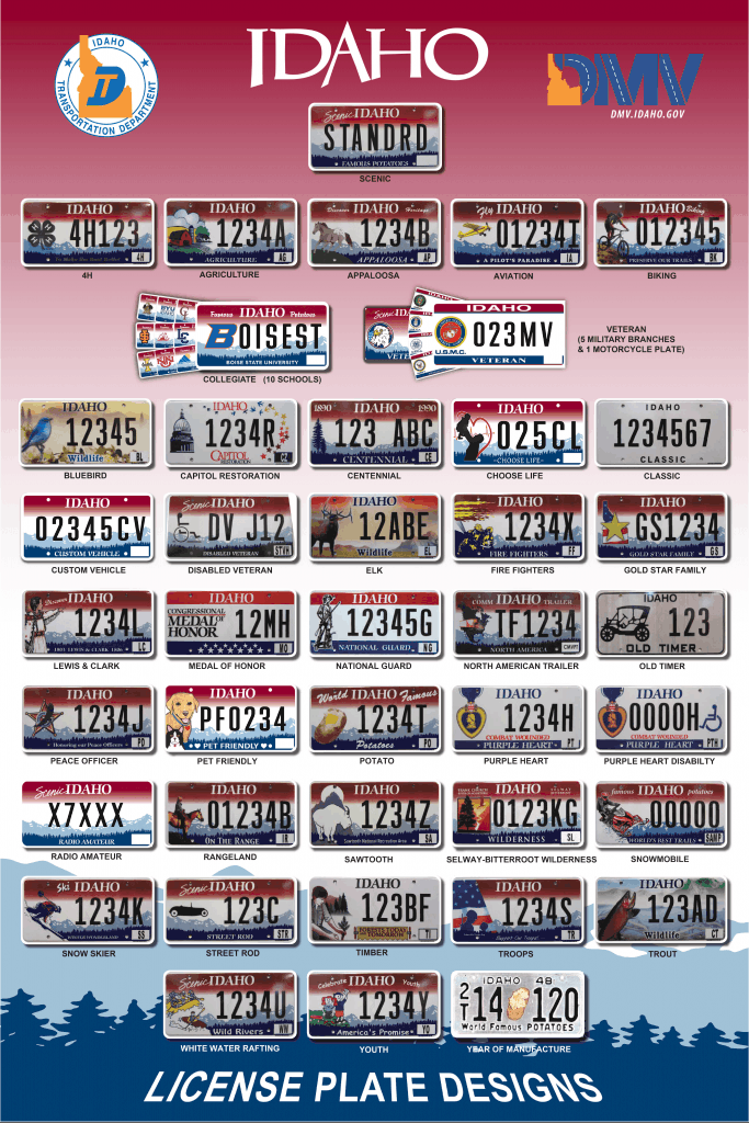 History of Specialized Plates