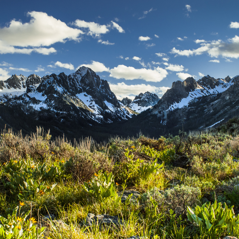 community support for SNRA, preserving Sawtooth National Recreation Area, local conservation efforts, SNRA volunteer organizations, Sawtooth Society, public awareness SNRA, fire awareness SNRA, wildfire prevention SNRA