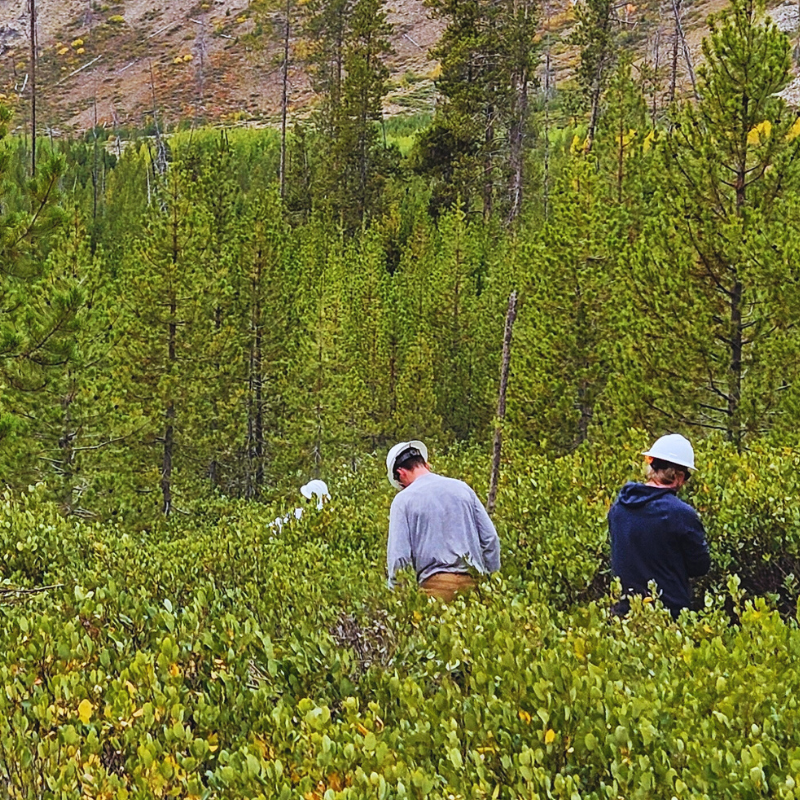 Sawtooth Society volunteer with Sawtooth Society preserve Sawtooth National Recreation Area Idaho conservation wildlife sanctuary wilderness protection protect Idaho’s wild places SNRA